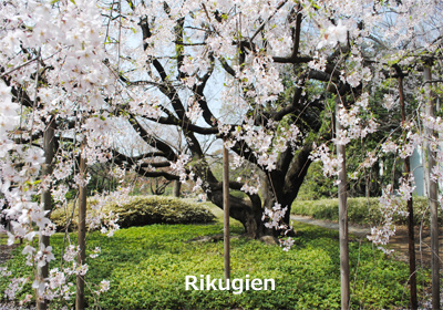 rikugien